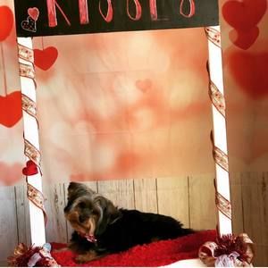 Meet your Posher, Brittlynz